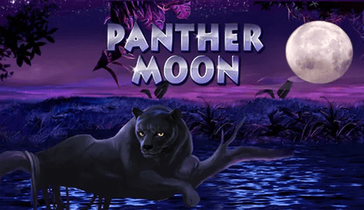 Panther Moon